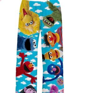 Adult Brief Insanity Size Large Pajama Pants